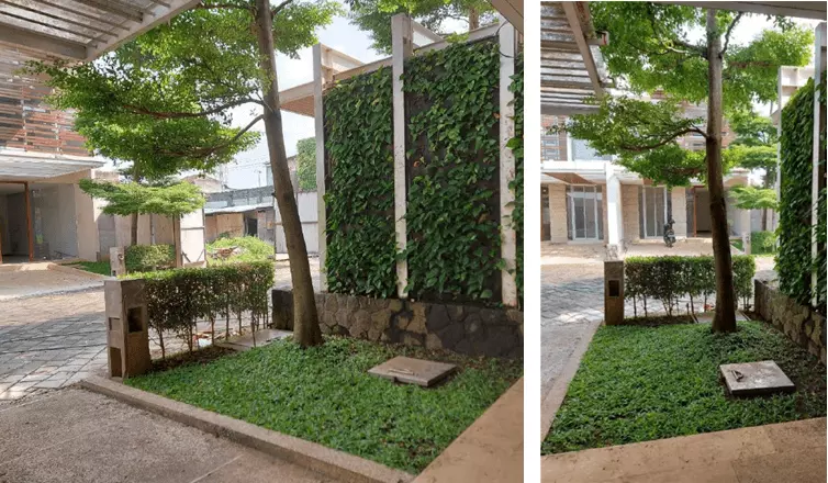 green wall home min
